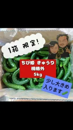 秋田県産 ちび姫きゅうり 規格外 5kg 1箱限定のサムネイル