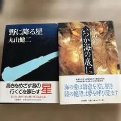 野に降る星　いつか海の底に　丸山健二