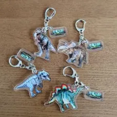 恐竜ラボ　キーホルダー　非売品　ティラノサウルス　トリケラトプス　など