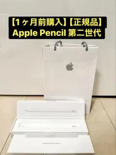 【正規品】【紙袋・箱付き】Apple Pencil 第2世代（値下げ交渉可）