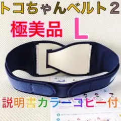 Item thumbnail for item 1346df91-9e2f-4357-ae4a-bf7950a3de6f