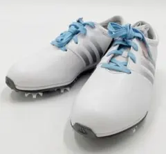 adidas ゴルフシューズ US 6.5 ホワイト/ブルー