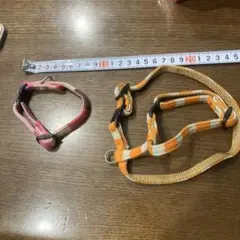 犬用 首輪 ハーネス セット 小型用 ストライプ