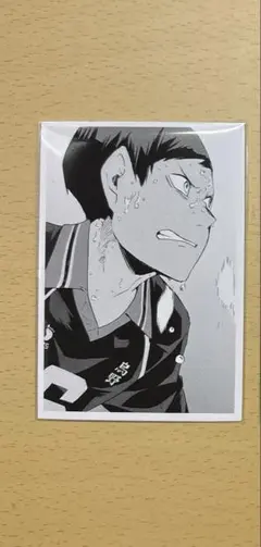 ハイキュー フォトカード 縁下力