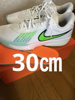 30㎝ナイキNIKEバッシュエアズーム G.T. カット FB2598-107
