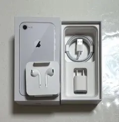 新品 Apple 純正 イヤホン ライトニングケーブル USBアダプター セット