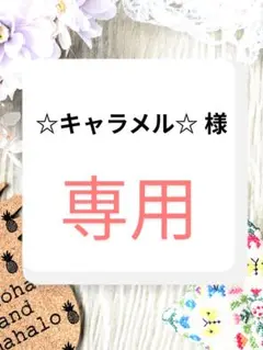 ☆キャラメル☆ 様　専用ページ