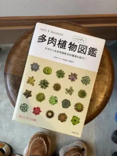 Item thumbnail for item 46fa1001-da62-48c4-ba32-67852f860e23