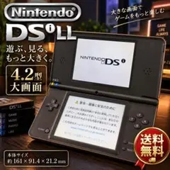 Nintendo DSi LL ダークブラウン 本体 動作確認済 大画面