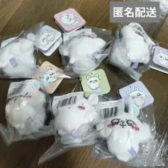 【モモンガだらけくじ】E賞 セミコンプセット