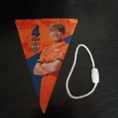 Item thumbnail for item e27e16ff-bec2-48f7-9536-0c8781b99341