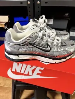 【24】ナイキ P-6000 