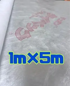 Item thumbnail for item 43daea25-a962-4573-b28a-8522f108ea13