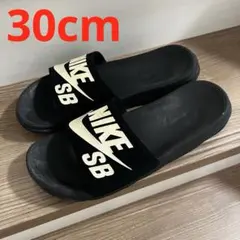 【希少】NIKE SB べナッシ　30cm/US12