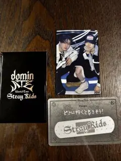 StrayKids ランダム ケミトレカ チャンビン アイエン