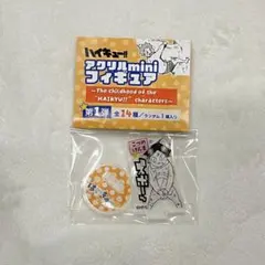 ハイキュー　孤爪研磨　アクリルminiフィギュア　ファンパーク　音駒　幼少期