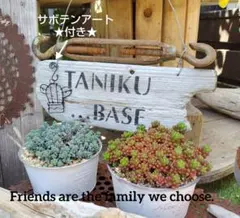①ジャンクガーデン 古材 サビ壊れ箪笥 ガーデニング オブジェ