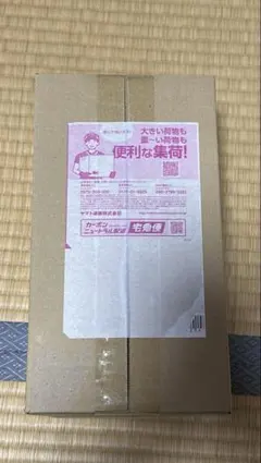 ポケモンカードゲーム スカーレット＆バイオレット スペシャルBOX フクオカ