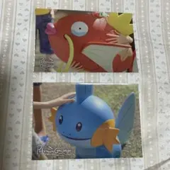 ギザみみピチューとラプラス A4 クリアファイル ポケモンセンター 日本