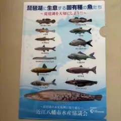 おきなわ 釣王国 4冊セット | Mercari