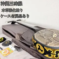 美品 沖縄 三線 蛇皮 本皮 三線ケース ゼンオン SS-01 金色刺繍 - メルカリ