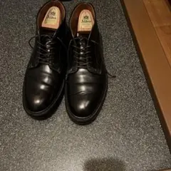 Item thumbnail for item 99a788a0-65be-4b56-8f49-9f519ffac376