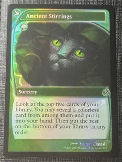 2025年最新】未来予知枠の人気アイテム - メルカリ