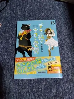 デキる猫は今日も憂鬱 13巻のサムネイル