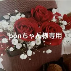 ponちゃん様専用