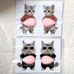 【猫4匹セット】立体お腹ぷにぷに シール おなかぷにぷにねこ