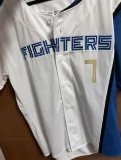 松本剛 応援グッズ