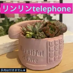 682☆リンリンtelephone モルタル雑貨 （お任せ植物付き） - メルカリ