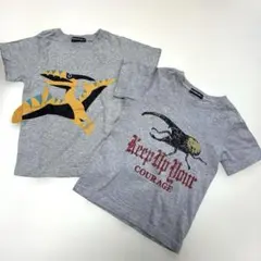 サイズ120 恐竜＆カブトムシ 半袖Tシャツ 2枚セット 男の子 夏服のサムネイル