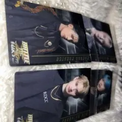 BOTウエハースカード17点まとめ売り