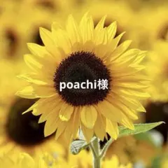 poachi様 リクエスト 2点 まとめ商品