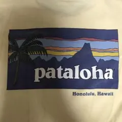 パタゴニア　Patagonia パタロハpataloha Tシャツ　アロハ　服