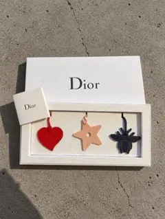 Dior Leather Strap
