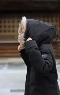 2025年最新】IENA カナダグースの人気アイテム - メルカリ