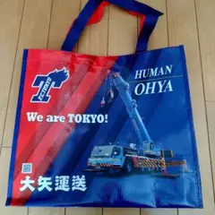 3枚セット！非売品 FC東京と大矢運送のコラボエコバッグとレジャーシート