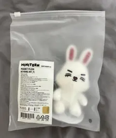 Item thumbnail for item 4edbd156-ebd3-4c8b-8fd4-d8315259f062