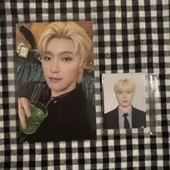 メンシプ ディノ