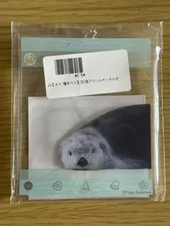 カプ 쿠지 鳥羽水族館 メイちゃん アクリルキーホルダー 寝そべり