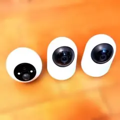 Item thumbnail for item bb108d7b-4726-4e4a-a112-5c57f6ebf938