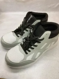 Item thumbnail for item 28b0672a-efd4-4ce5-bc0e-f744d8303efd