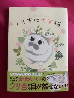 Item thumbnail for item 8fe6cef1-dfb1-4210-bd97-bcab0d76f8b7