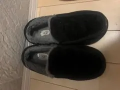 Item thumbnail for item 3480b623-77b3-4cd8-9926-0b726c19607f