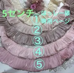 ほっしー様専用ページ