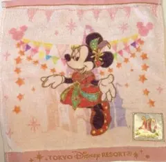 【本日限定出品】東京ディズニーリゾート チップとデール タオル