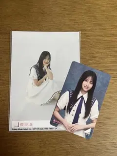 櫻坂46 9th 自業自得 封入生写真＆HMVクーポン 向井純葉
