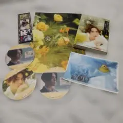 Fantastics 八木勇征 美しい彼 パンフレット 文庫 コースター